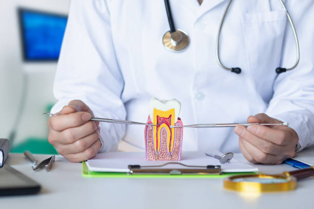 Best Knocked-Out Tooth (Avulsed Tooth) Treatment in Madeira, OH